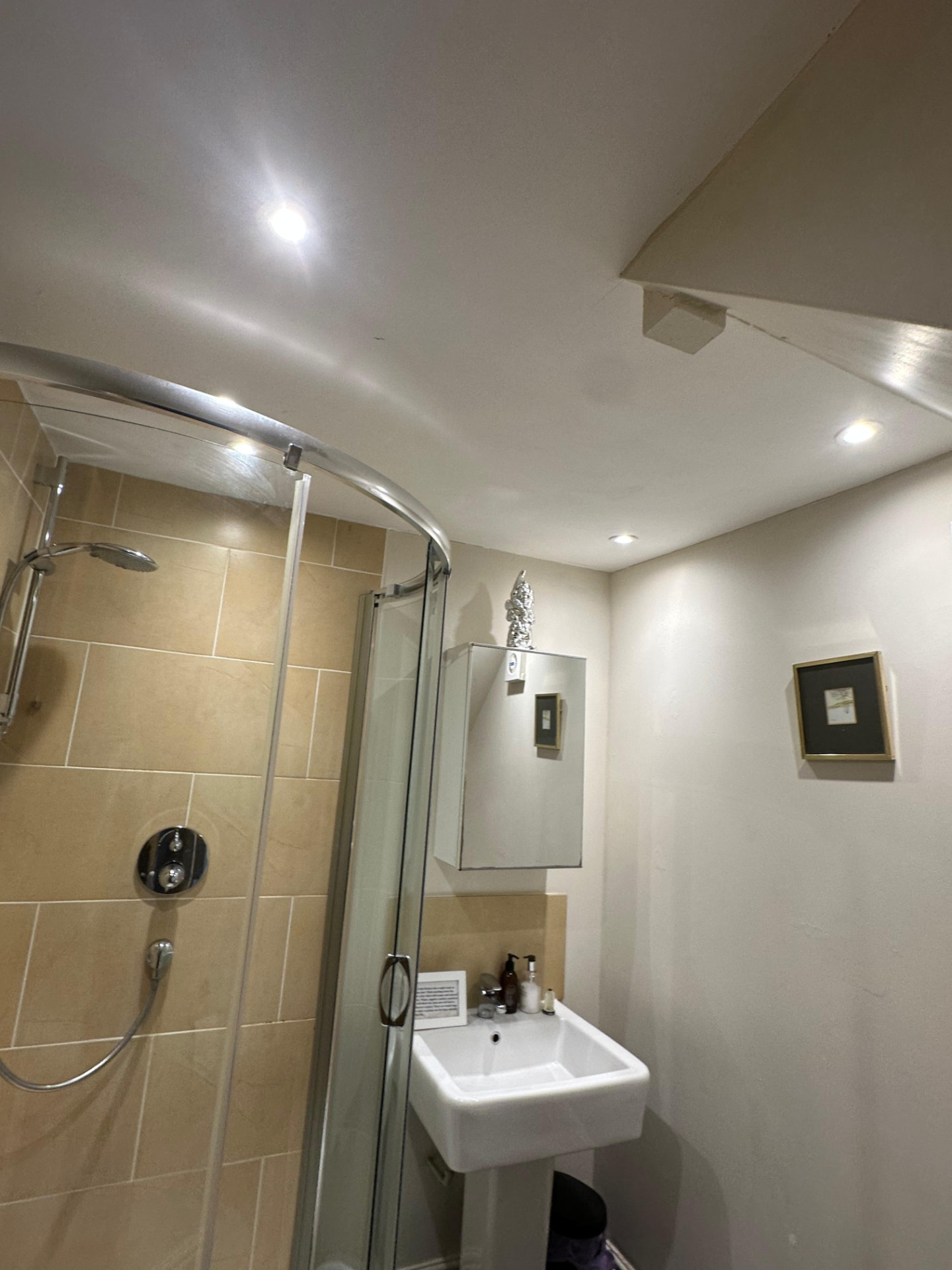 Bathroom ceiling downlights installed to bathroom zone regulations